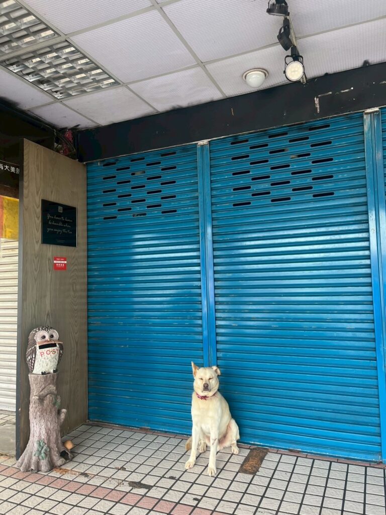 すやすやdog