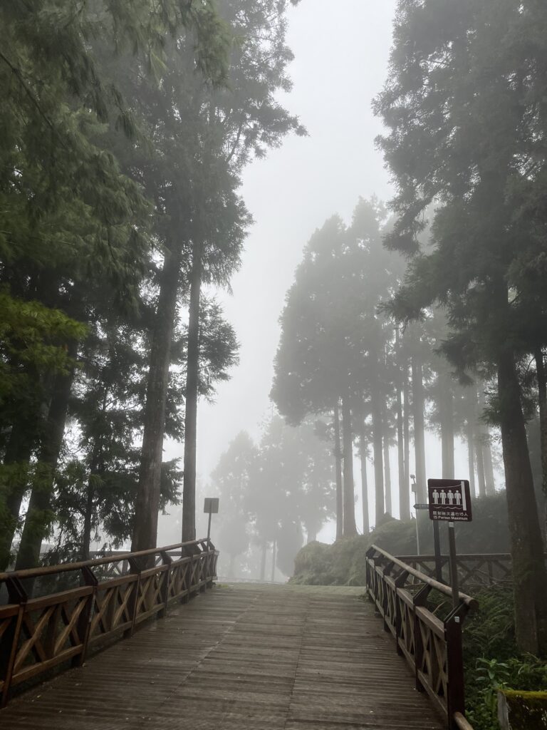 森林
