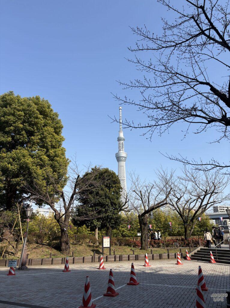 スカイツリー
