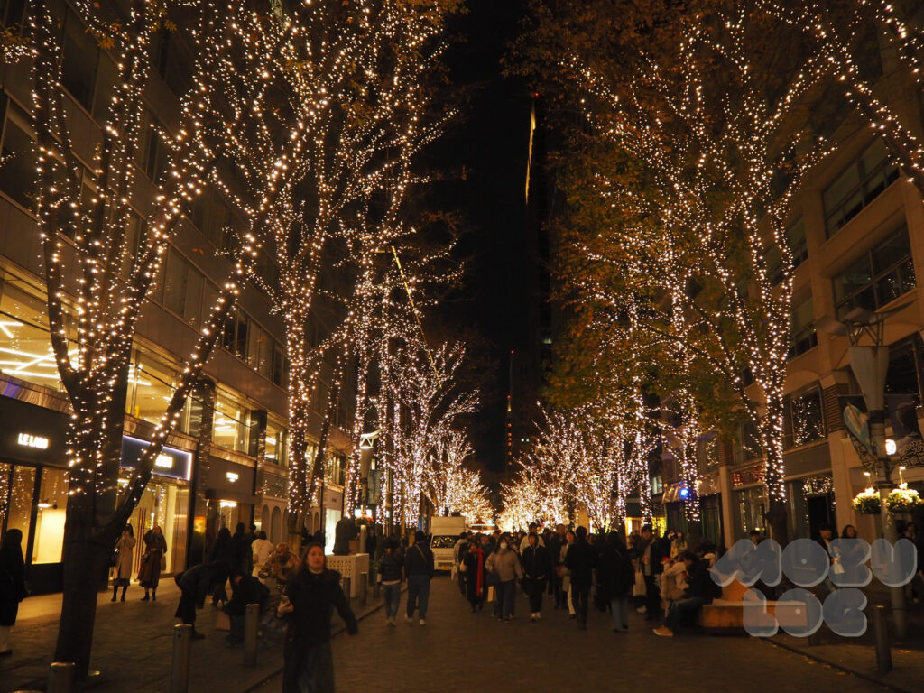 イルミネーション