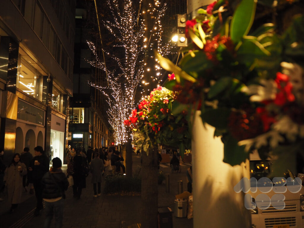 イルミネーション